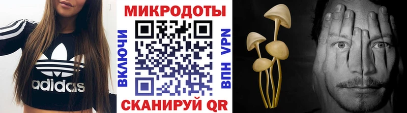 hydra ссылки  Ярцево  Псилоцибиновые грибы Cubensis 
